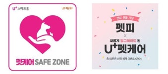 반려견 산책앱 펫피, 돌봄서비스 업그레이드