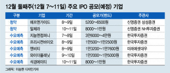 인기 많은 소형 공모주 에프앤가이드·알체라 청약