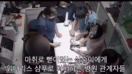옥주현, 광주 동물병원 학대 사건에…악마들, 신상 공개해야