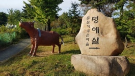 소똥령, 멍에실…소와 관련된 지명 전국 731곳