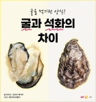 [바다정보다잇다] 굴을 먹기전 상식! 굴과 석화의 차이