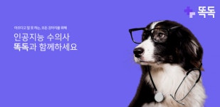 똑독, 반려동물 예상 질병·진료비·동물병원 정보까지 한 눈에