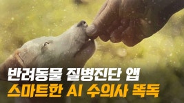 [영상]똑독, 반려동물 예상 질병·진료비·동물병원 정보까지 한 눈에