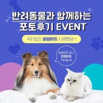 애견용 시공매트 ‘봄봄매트’, 반려동물과 함께하는 포토후기 이벤트 실시