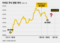 '1주→5주' 카카오 주가 떨어질까? 액면분할의 효과