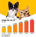 개 치매약·고양이 건기식…K-바이오, 펫코노미도 노린다
