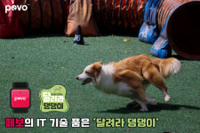 반려견 전용 헬스케어 페보, 국내 최정상급 어질리티 대회 후원