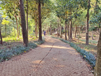 정남진 편백숲 우드랜드 봄맞이 새 단장