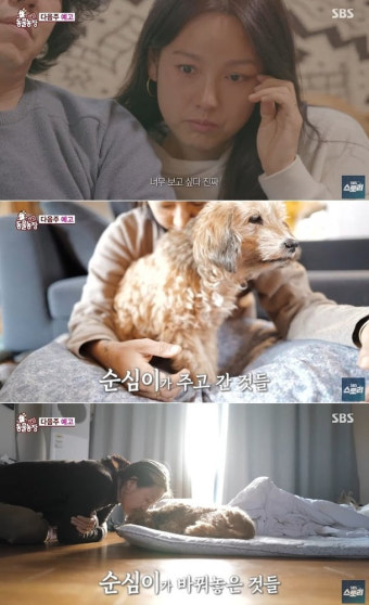 이효리 