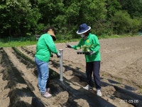 건양사이버대 사회복지학과 총동문회, 주말농장 운영