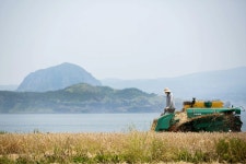 [르포]일단 먹어방 고릅써…친환경 가파도 찰보리 농부의 자부심