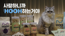 반려동물 브랜드 펫후, 공감과 재미 녹인 브랜드 영상 4편 공개