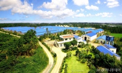 3無 제주 축산 악취도 없앴다…청정 4無島 혼저옵서예