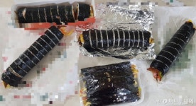 김밥집 10곳 가보니…맨손으로 김밥 싸고 카드결제, 쉰내 나 버렸다
