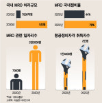 국내서 정비받는 항공사, 운수권 배정시 인센티브 준다