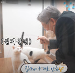 랜선집사 이재명…20일 동물복지공약 발표