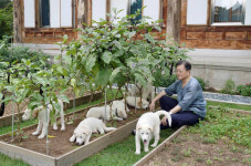 김정은 선물 반려견 새끼들 공개한 文 2마리씩 분양하겠다