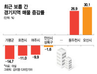 또 풍선효과 동두천 매물 늘고 가평·포천 줄었다