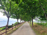 100일간 매일 10km씩 뛰어 보니...[50雜s]