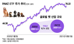 불확실한 증시서 좋은 투자 대안…몸집 키우는 이 산업 주목
