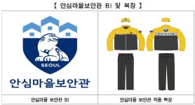 서울 1인 가구 밀집지역 심야 골목순찰 안심마을보안관 뜬다