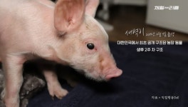 새벽이를 만나고…좋아하던 삼겹살이 불편해졌다[남기자의 체헐리즘]