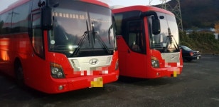 시민 발 버스도 발동동…요소수 없어 폐차 앞둔 버스 돌립니다