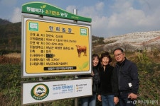 전국 첫 동물복지인증 한우농장에선…사람도, 소도 웃소