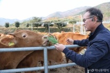 전국 첫 동물복지인증 한우농장에선…사람도, 소도 웃소