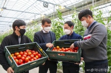 [짤담]햄버거에 양상추 대신 양배추를 넣자...롯데리아의 기지