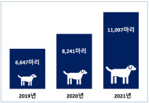 에어부산 반려동물 운송 1만1097마리 달해