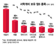 900달러대 테슬라, 불안한 반등…지금이라도 매수할까