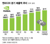 엔비디아, 깜짝 실적에도 주가 하락 이유 '셋'…현실 자각 타임?