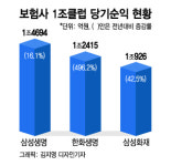 보험사, 순익 1조클럽만 3개 '역대급'···올해도 이어갈 수 있을까