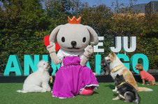 펫 여행객 오세요..제주신화월드 애니멀고파크 인기