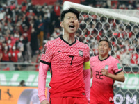 '카타르 WC' 한국, 3포트 보였다…실시간 랭킹 27위로 상승