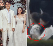 현빈손예진 결혼식서 포착된 강아지?…엄마 결혼 지켜본 '키티'