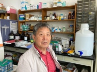 꿀벌 없는 세상, 인류도 없다…78억 마리 실종사건 범인은 나?