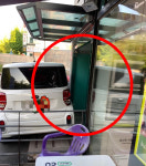감히 내 매장 옆에 주차해?…보복으로 미용실 입구 막은 男