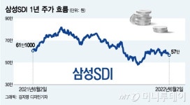 목표가 93만원→48만원 삼성SDI 팔아라 저승자사 리포트, 왜