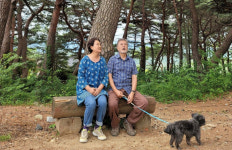 Naver 搜索结果照片 3