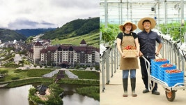 KH그룹 알펜시아리조트, 베리딜리셔스와 평창지역 상생발전 협약