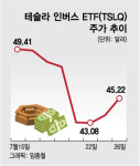 나스닥 말고 '테슬라'만…한 종목 '인버스 베팅', 韓은 언제쯤?