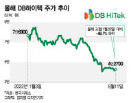 물적분할 안돼! 소송까지 불사한 DB하이텍 개미들