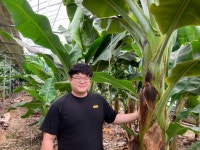 경기도에서 바나나가 주렁주렁…왜 안돼? 29세 농부의 발칙한 도전