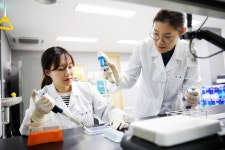 HLB, 간암 1차 임상 발표 임박…K-바이오 전환점 계기 '기대'