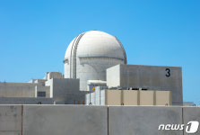 [단독]체코엔 차·폴란드엔 방산…맞춤 패키지로 K원전 수출한다