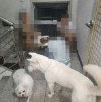 시끄러운 집 앞 복도…개 풀어둔 채 숯불구이 민폐
