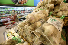 경북 영천, 한방 마늘로 최우수 특구 선정…우수특구 등 총 8억원 포상