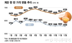 달걀 한판 7000원, 실화?…AI 확산에 금란 사태 재현 우려